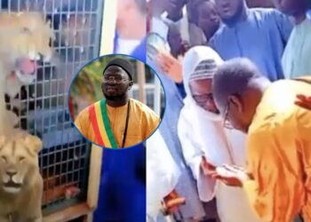 Affaire des lionceaux de Touba : les explications de Abdou Lakhat Seck Sadaga, propriétaire du zoo