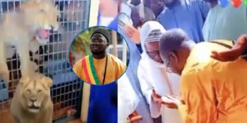 Affaire des lionceaux de Touba : les explications de Abdou Lakhat Seck Sadaga, propriétaire du zoo