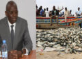 Lettre à Papa Sagna Mbaye sur la crise des ressources halieutiques : Des acteurs de la pêche tirent sur la sonnette d’alarme