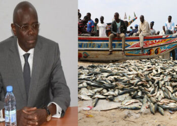 Lettre à Papa Sagna Mbaye sur la crise des ressources halieutiques : Des acteurs de la pêche tirent sur la sonnette d’alarme