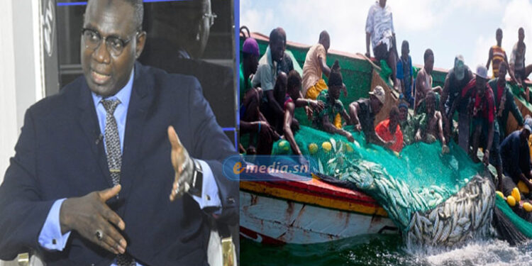 JDD – Émigration irrégulière : « L’échec de nos politiques publiques », (invité)