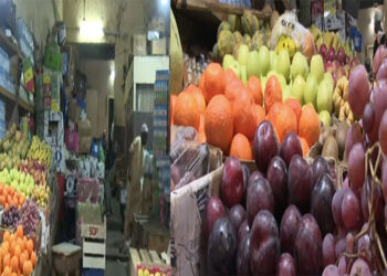 Sandinièry : d’où viennent ces fruits de toutes les saisons ?