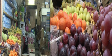 Sandinièry : d&rsquo;où viennent ces fruits de toutes les saisons ?