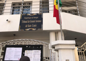 Rocambolesque arnaque autour de projets agricoles : «Racine du mal» pour des Sénégalais de la Diaspora