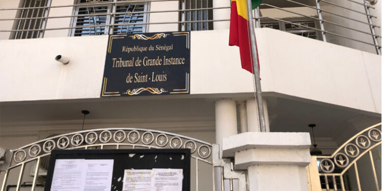 Rocambolesque arnaque autour de projets agricoles : «Racine du mal» pour des Sénégalais de la Diaspora