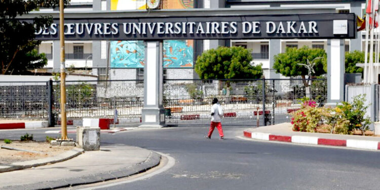 Reportage à l’Ucad : Dans le silence de la Cité universitaire