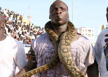 Rêve de couronne : Attention au serpent !