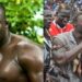 Ama Baldé vs Modou Lô : Derniers réglages au niveau de l’arène nationale 6 Ama Baldé vs Modou Lô : Derniers réglages au niveau de l’arène nationale