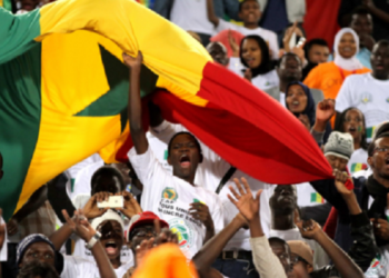 Le Billet du Baadoolo : La vie après le pourvoi