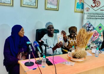 Fonio : plaidoyer pour une meilleure valorisation d’une céréale pas comme les autres