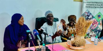 Fonio : plaidoyer pour une meilleure valorisation d’une céréale pas comme les autres