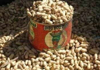 Arachide : Le kilogramme fixé à…