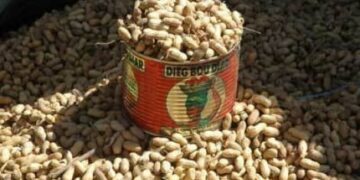 Arachide : Le kilogramme fixé à…