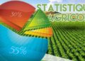 Contribution : Fiabiliser les statistiques agricoles