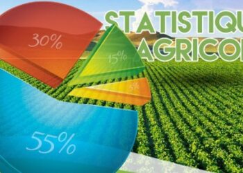 Contribution : Fiabiliser les statistiques agricoles