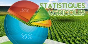 Contribution : Fiabiliser les statistiques agricoles