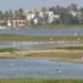 Dépôts sauvages,  pollutions, pression foncière… : La Grande Niaye de Pikine (Technopôle), une merveille écologique en sursis 7 Dépôts sauvages,  pollutions, pression foncière… : La Grande Niaye de Pikine (Technopôle), une merveille écologique en sursis