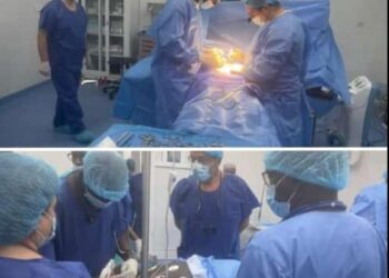 Dr Youhanidou Wane Dia : «Cette transplantation a coûté cher»