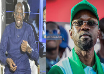 Me Mame Adama Guèye sur le plateau du JDD : «L’influence de Sonko est indéniable»