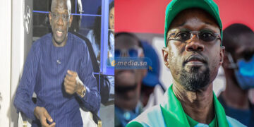 Me Mame Adama Guèye sur le plateau du JDD : «L’influence de Sonko est indéniable»
