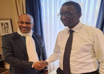 Rencontre Mamoudou Ibra Kane-Amadou Ba à Paris : «La perspective d’une alliance» et une «large convergence de vues» au menu