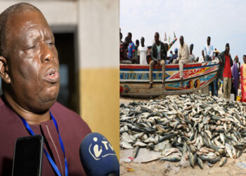 Lutte contre la surcapacité : Pourquoi il faut revoir la question des subventions dans le secteur de la pêche