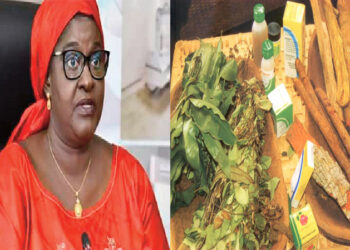 Promotion de la médecine traditionnelle dans le système de santé : Le Sénégal, dernier de la classe