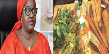 Promotion de la médecine traditionnelle dans le système de santé : Le Sénégal, dernier de la classe