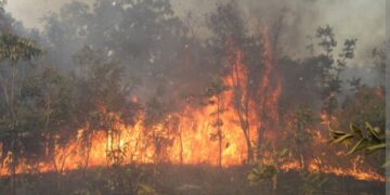 Incendie à Kaffrine : Plusieurs greniers de mil ravagés