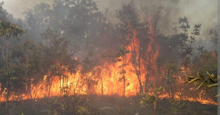 Incendie à Kaffrine : Plusieurs greniers de mil ravagés 1 Incendie à Kaffrine : Plusieurs greniers de mil ravagés