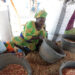«Kissi gerté» ou la récupération des graines d’arachide : un gagne-pain pour les femmes rurales 6 «Kissi gerté» ou la récupération des graines d’arachide : un gagne-pain pour les femmes rurales