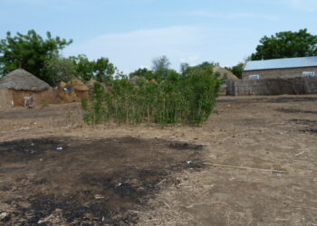 Manque de routes, d’électricité, d’infrastructures … : Le marabout de Méo Ndiobène interpelle le chef de l’État 