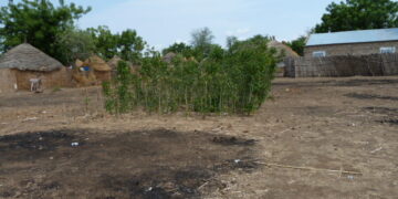 Manque de routes, d’électricité, d’infrastructures … : Le marabout de Méo Ndiobène interpelle le chef de l’État 