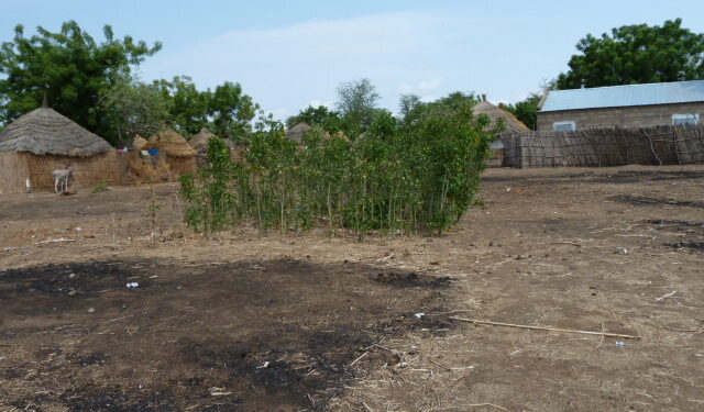 Manque de routes, d’électricité, d’infrastructures … : Le marabout de Méo Ndiobène interpelle le chef de l’État 