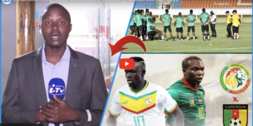 Les dernières infos sur l’équipe nationale avant le duel au sommet face au Cameroun avec Saikou Seydi