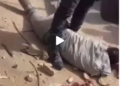 Drame à Touba : Un gamin de six ans a frôlé la catastrophe 4 Drame à Touba : Un gamin de six ans a frôlé la catastrophe