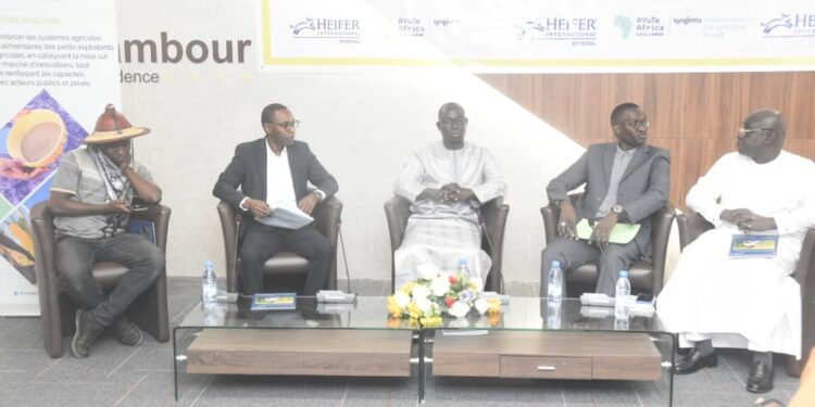 Agriculture et technologie : Comment Heifer International et Syngenta encouragent les jeunes à s’y investir