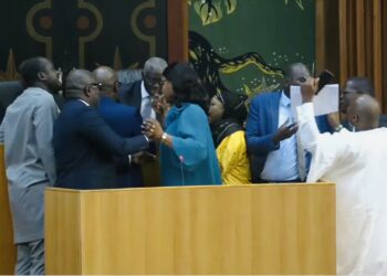 Assemblée nationale : Accrochage entre TAS et une députée du Pds