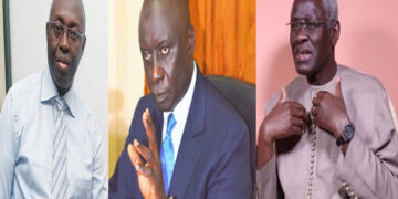 Elimination de Karim Wade : Pourquoi le Pds est une dame très convoitée