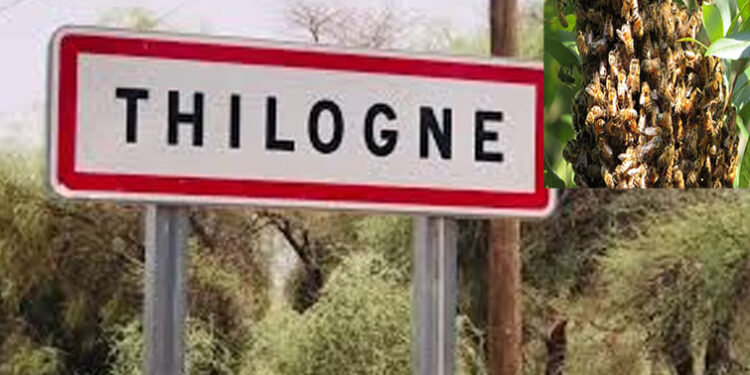 Thilogne : Un après-midi pas comme les autres 1 Thilogne : Un après-midi pas comme les autres
