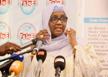 Financement : Le FAISE va financer 100 projets à hauteur de 500 millions