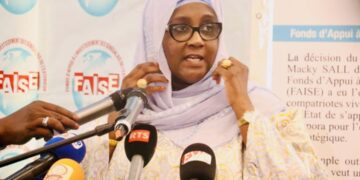 Financement : Le FAISE va financer 100 projets à hauteur de 500 millions
