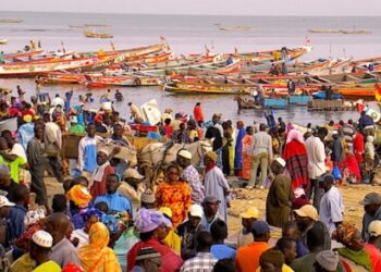 Métiers du pétrole et du gaz : Cent acteurs de la pêche formés à Mbour