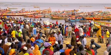 Métiers du pétrole et du gaz : Cent acteurs de la pêche formés à Mbour