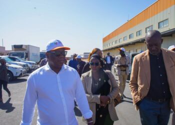 ZES de DIASS : L’AIBD et l’APIX veulent travailler dans la mutualisation