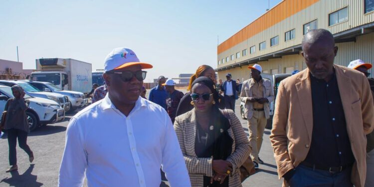 ZES de DIASS : L’AIBD et l’APIX veulent travailler dans la mutualisation