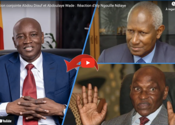Déclaration conjointe des Présidents Abdou Diouf et Abdoulaye Wade : La réaction de l’ancien ministre de l’Intérieur et candidat, Aly Ngouille Ndiaye