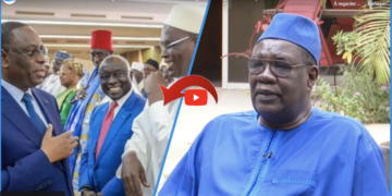 Antagonisme exacerbé entre Diouf et Wade : Les révélations de Me Ousmane Ngom sur les passerelles aménagées et les go-between pour le dépasser 