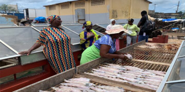 Transformation des ressources halieutiques : L&rsquo;appui fort du Japon aux femmes de la Casamance