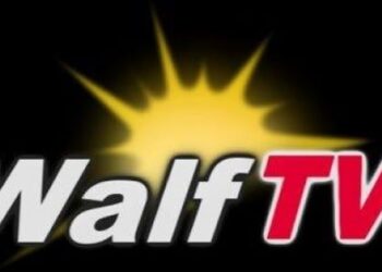 Médias : Le signal de Walf TV rétabli après une audience avec le président Macky Sall (communiqué)